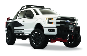 Bushwhacker Ford F-150