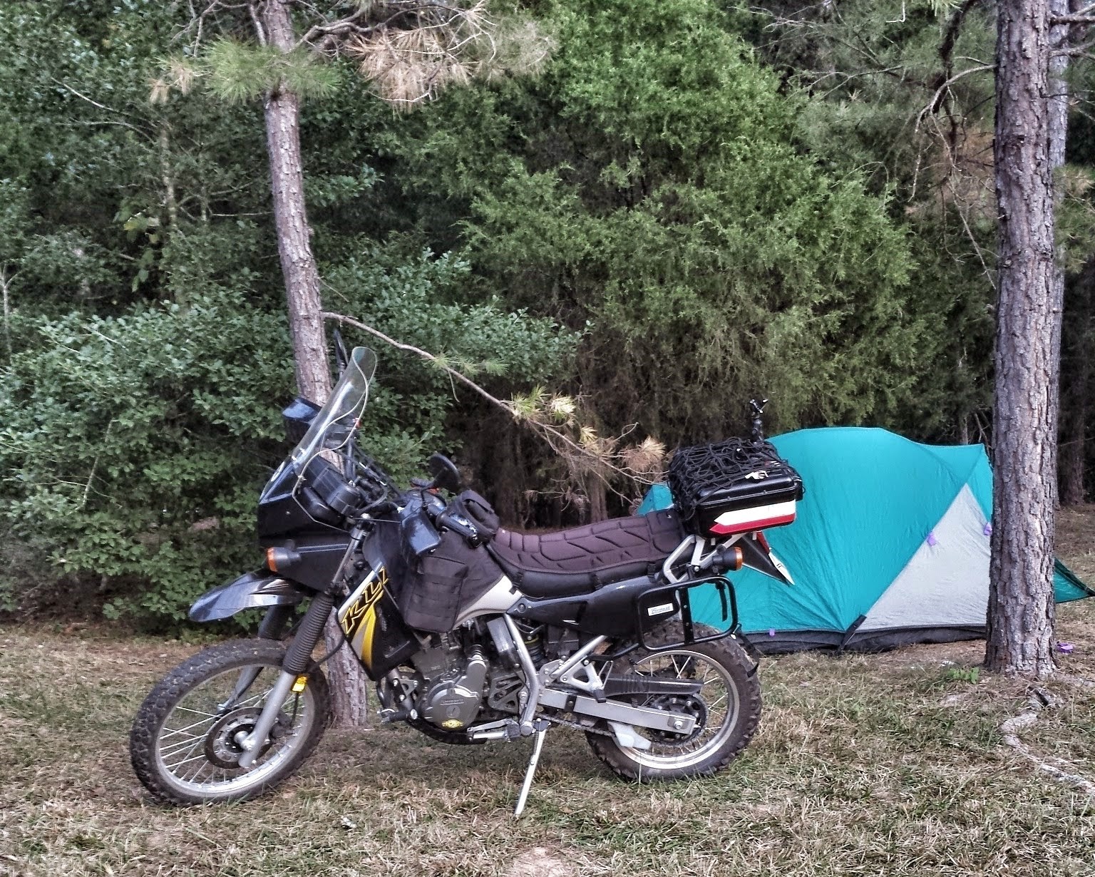 KLR